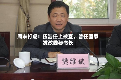 周末打虎！伍浩任上被查，曾任国家发改委秘书长-第3张图片