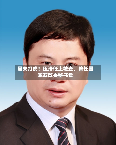 周末打虎！伍浩任上被查	，曾任国家发改委秘书长-第2张图片