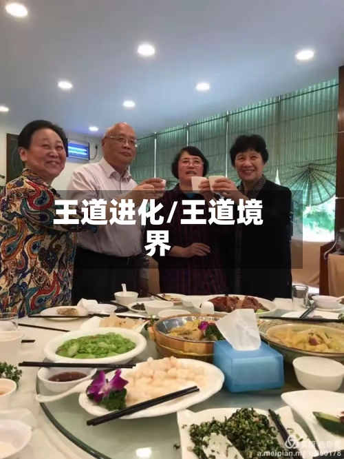 王道进化/王道境界