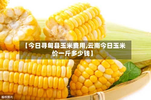 【今日寻甸县玉米费用,云南今日玉米价一斤多少钱】