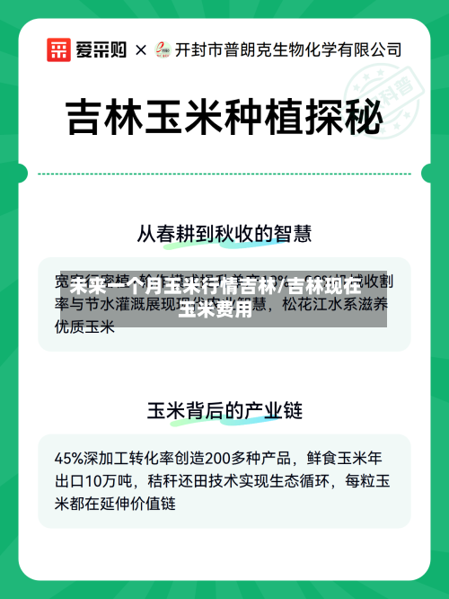 未来一个月玉米行情吉林/吉林现在玉米费用
