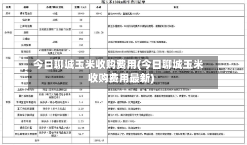今日聊城玉米收购费用(今日聊城玉米收购费用最新)-第3张图片