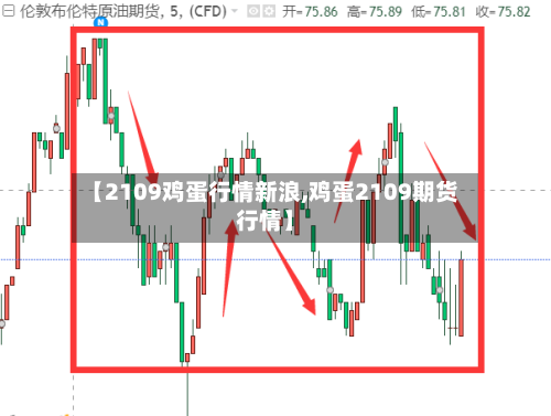 【2109鸡蛋行情新浪,鸡蛋2109期货行情】-第2张图片