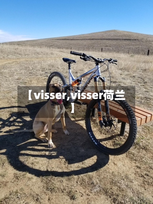 【visser,visser荷兰】