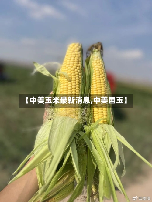 【中美玉米最新消息,中美国玉】