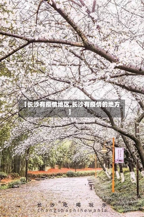 【长沙有疫情地区,长沙有疫情的地方】-第2张图片