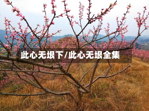 此心无垠下/此心无垠全集-第2张图片