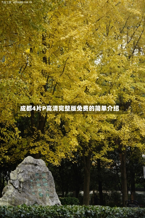 成都4片P高清完整版免费的简单介绍