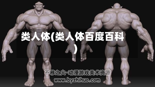 类人体(类人体百度百科)