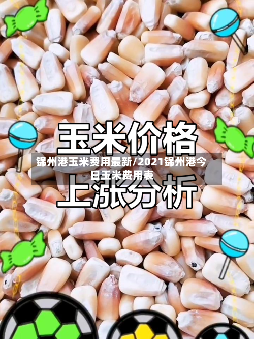锦州港玉米费用最新/2021锦州港今日玉米费用表-第3张图片