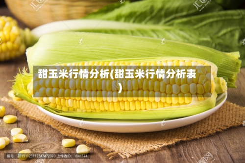 甜玉米行情分析(甜玉米行情分析表)-第2张图片