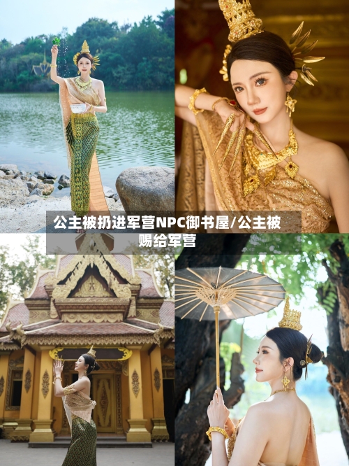 公主被扔进军营NPC御书屋/公主被赐给军营-第2张图片