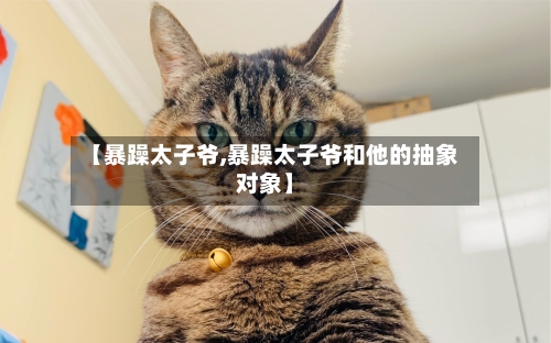 【暴躁太子爷,暴躁太子爷和他的抽象对象】-第3张图片