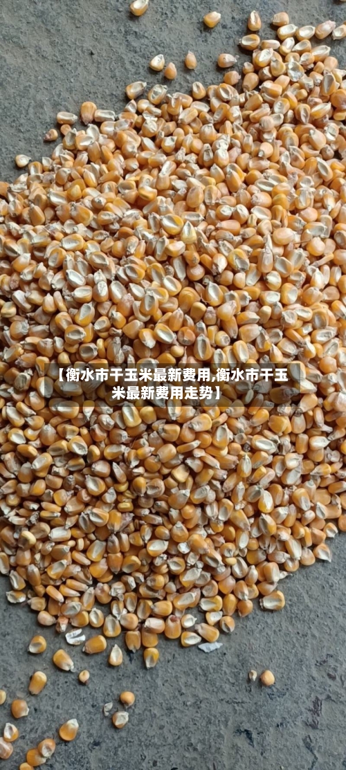 【衡水市干玉米最新费用,衡水市干玉米最新费用走势】-第2张图片