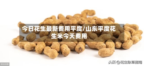 今日花生最新费用平度/山东平度花生米今天费用-第2张图片