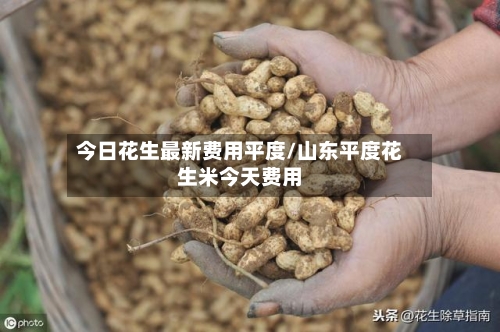 今日花生最新费用平度/山东平度花生米今天费用-第3张图片