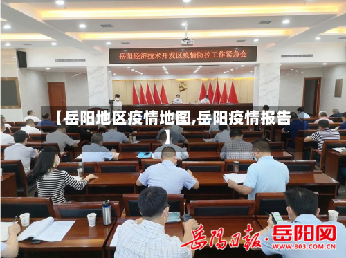 【岳阳地区疫情地图,岳阳疫情报告】