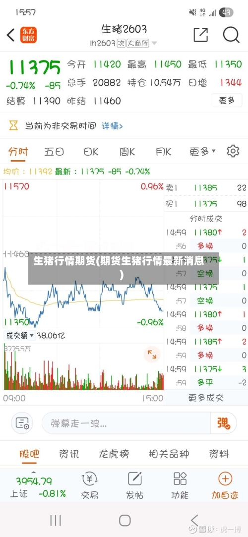 生猪行情期货(期货生猪行情最新消息)-第2张图片