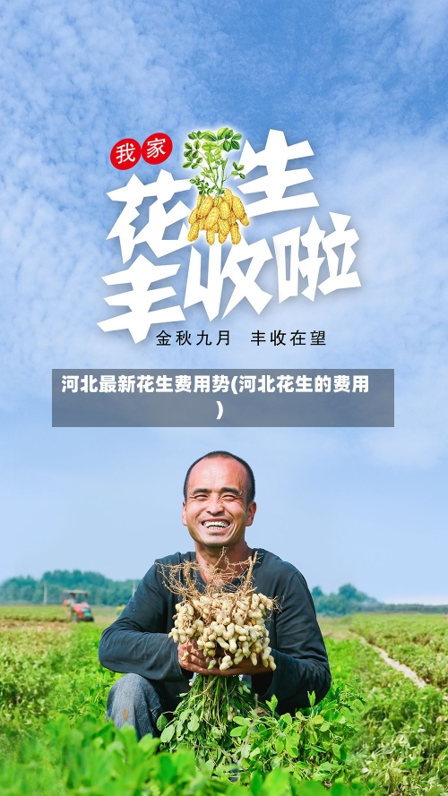 河北最新花生费用势(河北花生的费用)-第2张图片