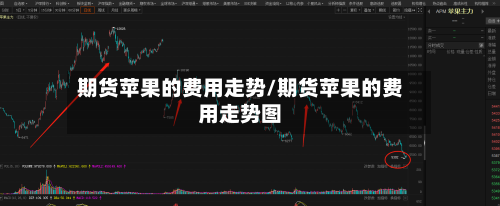 期货苹果的费用走势/期货苹果的费用走势图