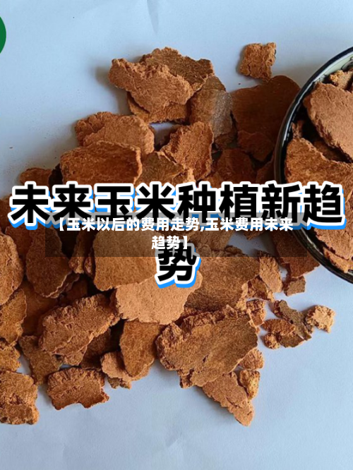【玉米以后的费用走势,玉米费用未来趋势】