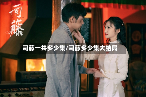 司藤一共多少集/司藤多少集大结局