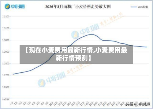 【现在小麦费用最新行情,小麦费用最新行情预测】