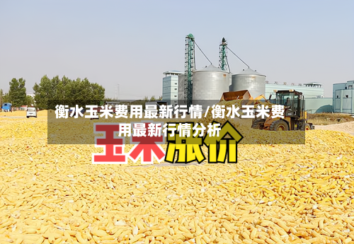 衡水玉米费用最新行情/衡水玉米费用最新行情分析-第3张图片