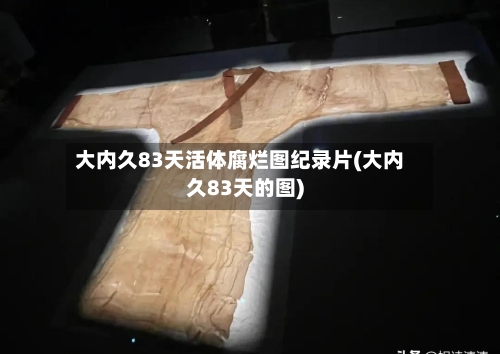 大内久83天活体腐烂图纪录片(大内久83天的图)-第3张图片
