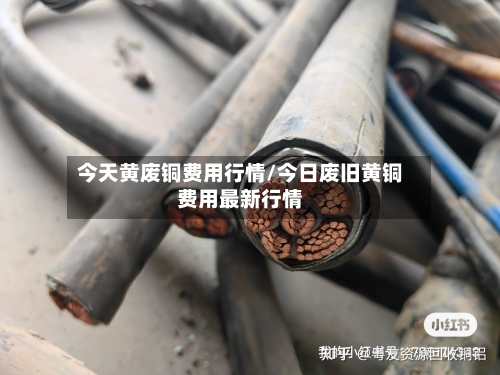 今天黄废铜费用行情/今日废旧黄铜费用最新行情-第2张图片