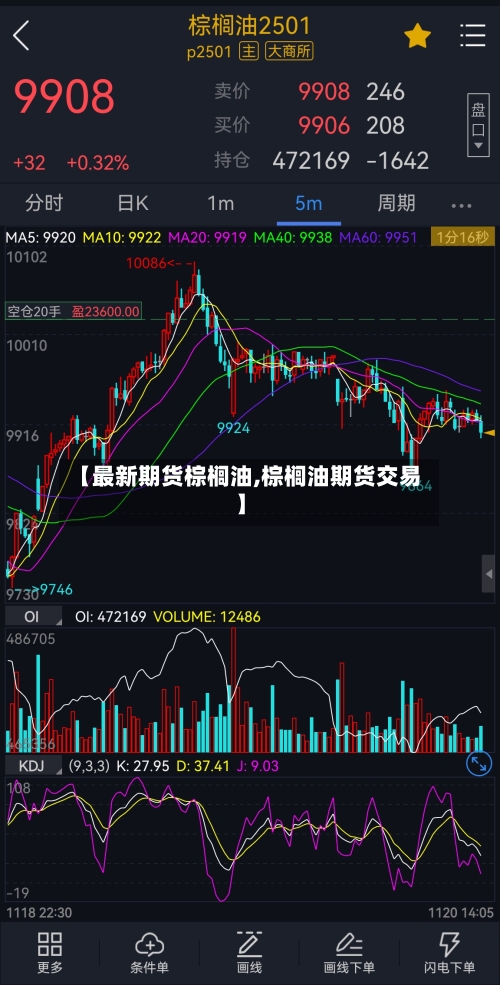 【最新期货棕榈油,棕榈油期货交易】-第2张图片