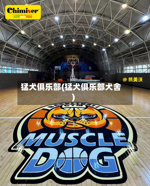 猛犬俱乐部(猛犬俱乐部犬舍)-第3张图片