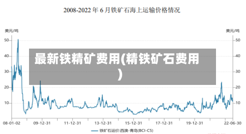 最新铁精矿费用(精铁矿石费用)-第2张图片