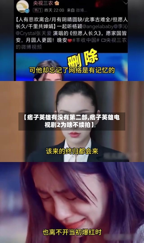 【痞子英雄有没有第二部,痞子英雄电视剧2为啥不续拍】