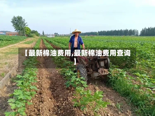 【最新棉油费用,最新棉油费用查询】-第2张图片