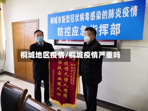 桐城地区疫情/桐城疫情严重吗