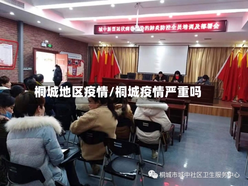 桐城地区疫情/桐城疫情严重吗-第2张图片