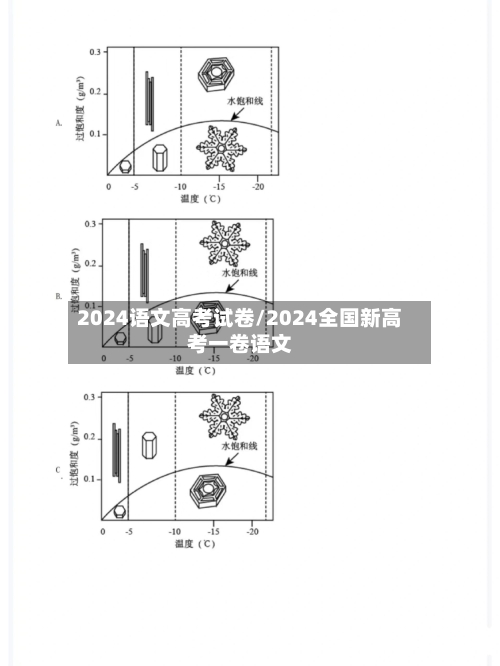 2024语文高考试卷/2024全国新高考一卷语文
