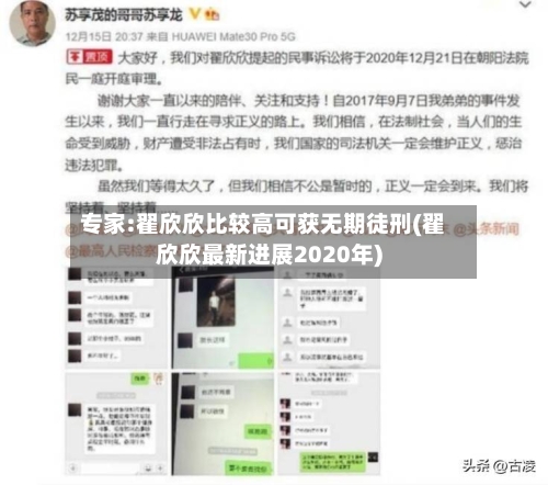 专家:翟欣欣比较高可获无期徒刑(翟欣欣最新进展2020年)-第2张图片