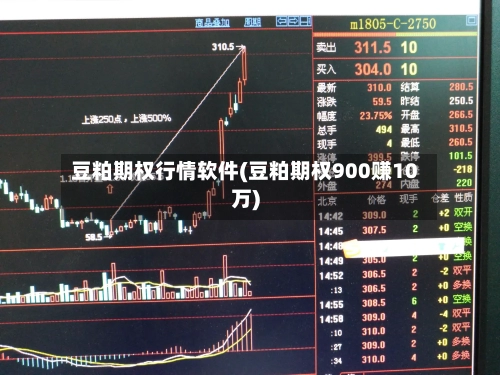 豆粕期权行情软件(豆粕期权900赚10万)-第2张图片