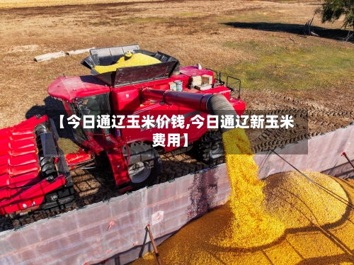 【今日通辽玉米价钱,今日通辽新玉米费用】