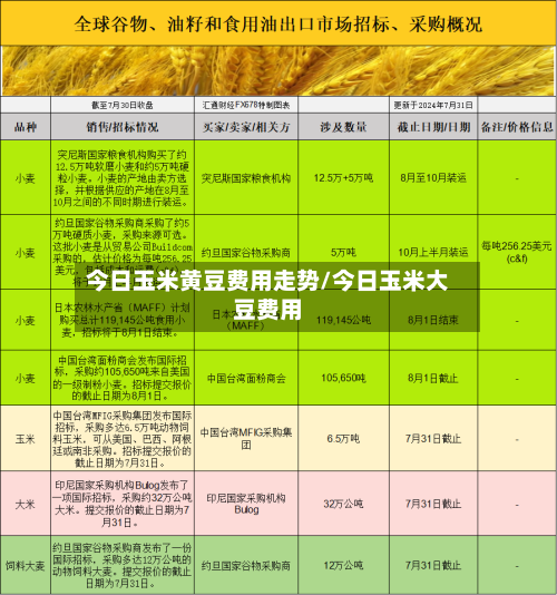 今日玉米黄豆费用走势/今日玉米大豆费用