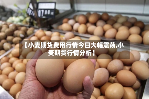 【小麦期货费用行情今日大幅震荡,小麦期货行情分析】