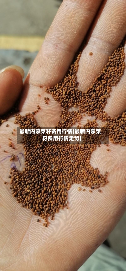 最新内蒙菜籽费用行情(最新内蒙菜籽费用行情走势)