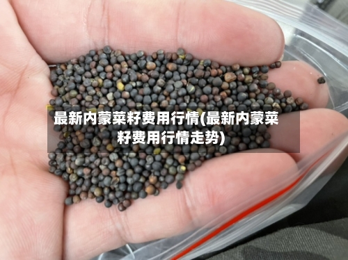 最新内蒙菜籽费用行情(最新内蒙菜籽费用行情走势)-第3张图片