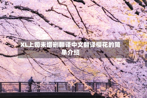 XL上司未增删翻译中文翻译樱花的简单介绍