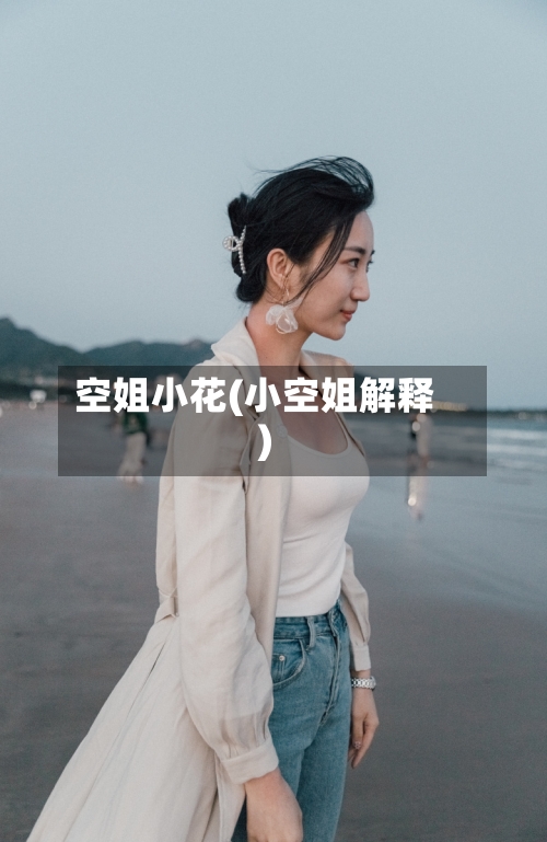 空姐小花(小空姐解释)-第3张图片
