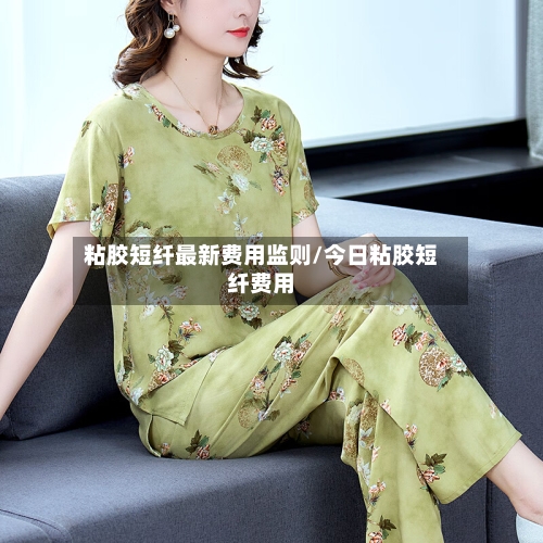 粘胶短纤最新费用监则/今日粘胶短纤费用-第2张图片