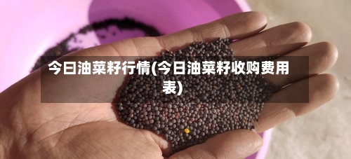 今曰油菜籽行情(今日油菜籽收购费用表)-第2张图片