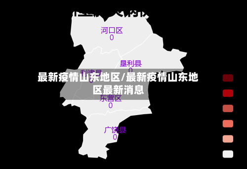最新疫情山东地区/最新疫情山东地区最新消息